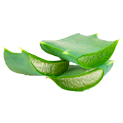 алоэ Вера гель